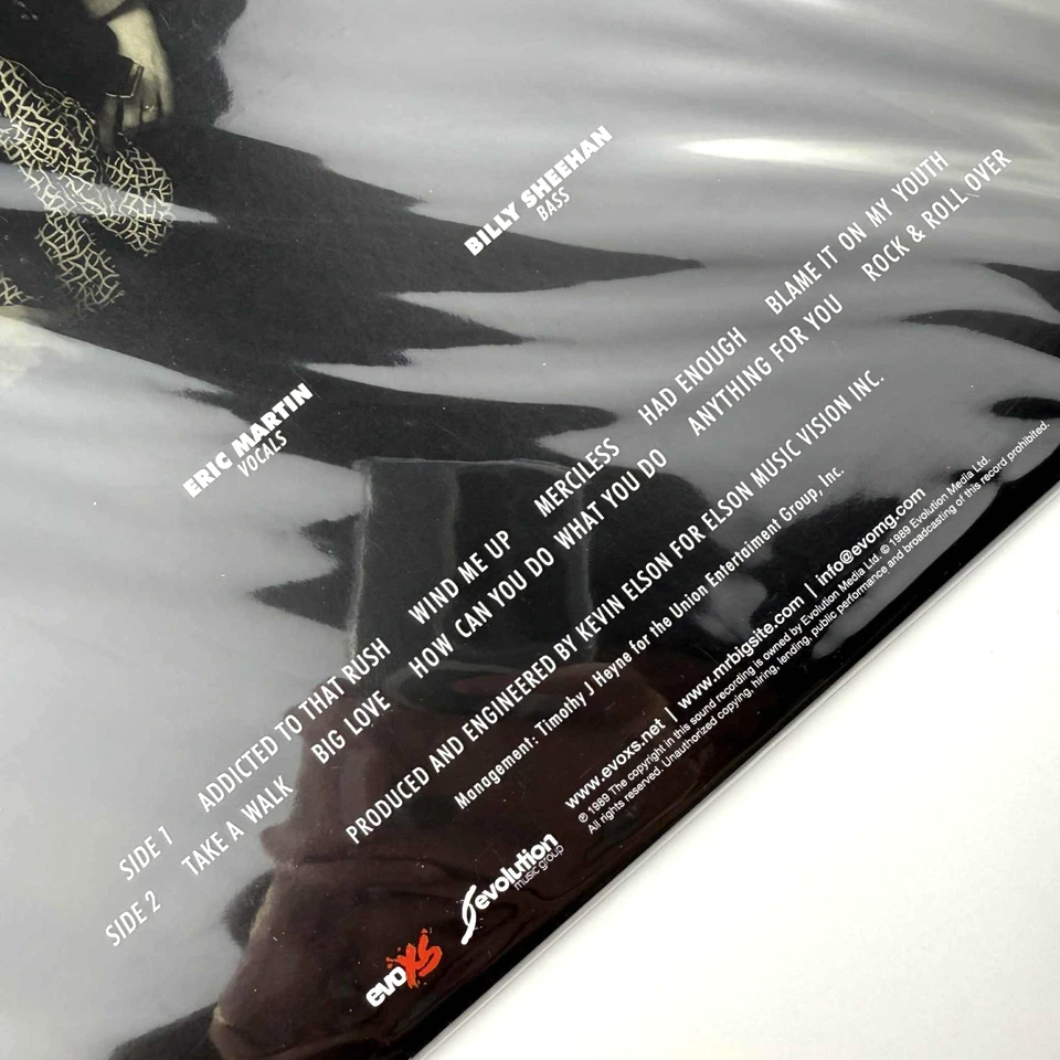 Mr. Big S/T Self Titled Blue Colored Vinyl LP Record RSD New Sealed - Image 4 of 4