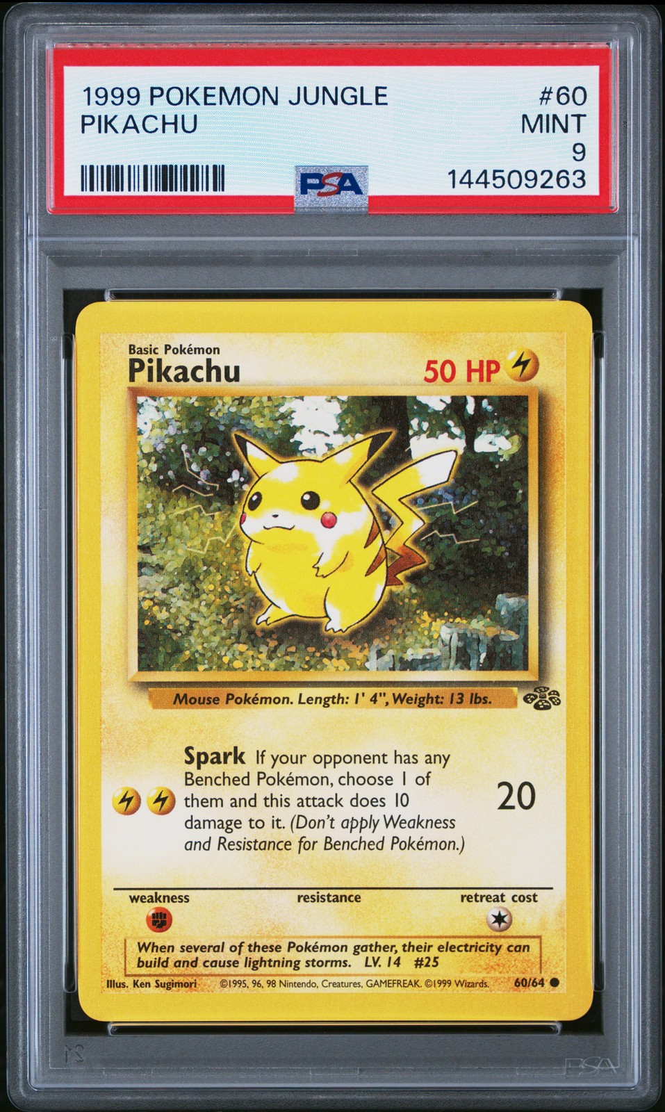 Pikachu #60