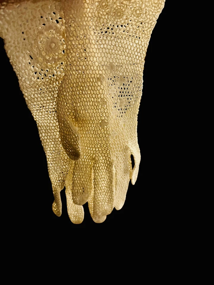 Antiguos Guantes Eduardianos Damas Hechos a Mano Crochet Largo Encaje Novia Marfil ¡Encantadores! Foto 4 de 4