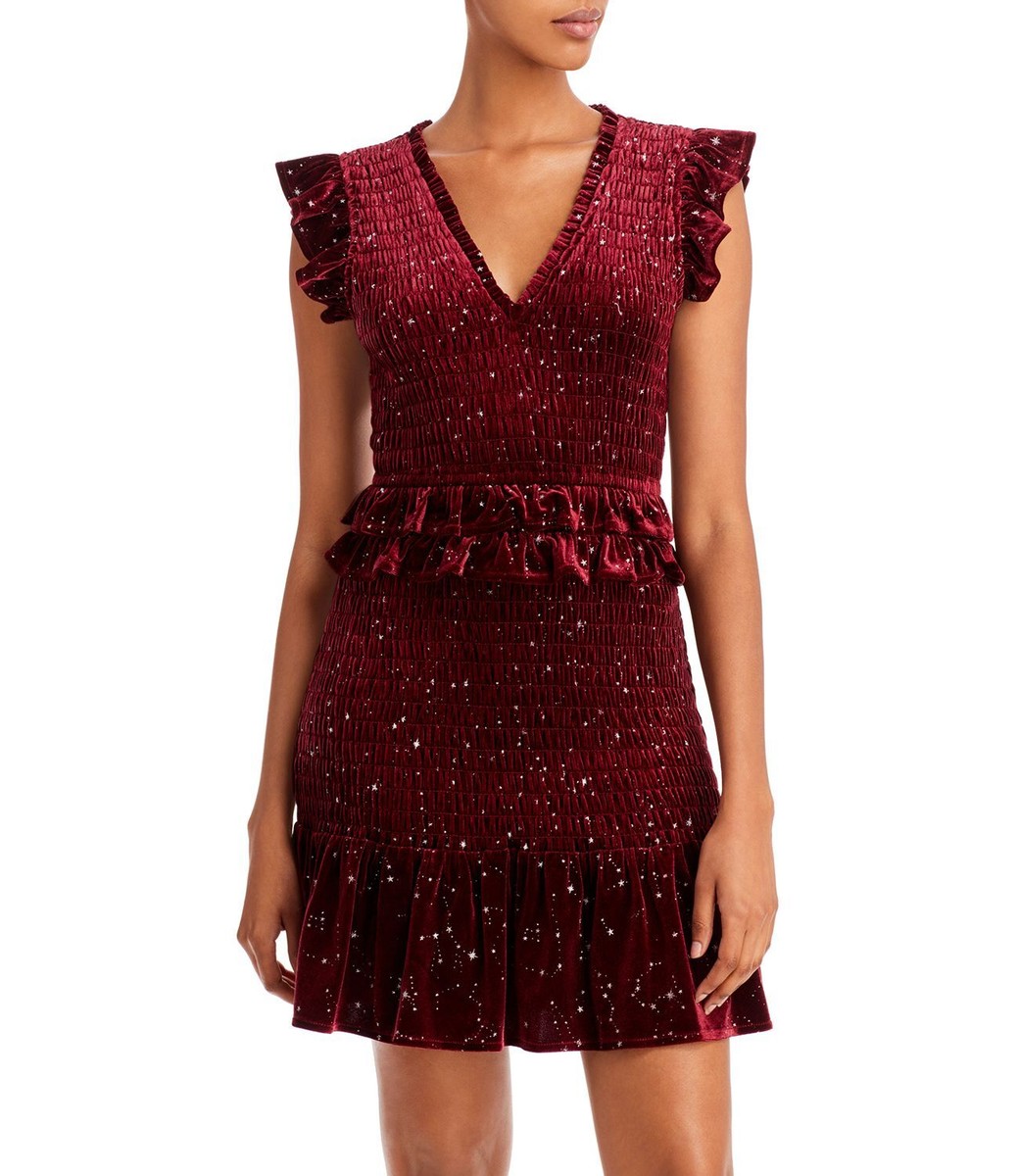 Aqua Velvet Smocked Mini Dress XS/Burgundy