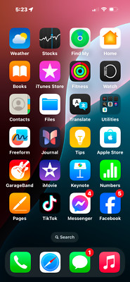 Tictok already downloaded Apple iPhone 16 pro max - 1071 GB - Black (Spectrum)