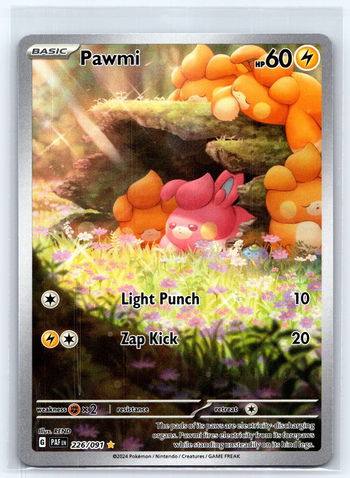 Pawmi 226/091 Illustration Rare Paldean Fates Pokemon Holo Near Mint