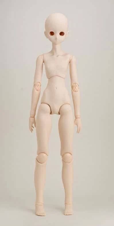 Obitsu Poupée 24BD-F02W-M 24cm Corps Buste M Neuf Type Whitey 1/6