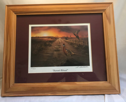 Framed Signed Numbered 681/2000 Print by Mark Anderson SUNSET RITUAL Pheasant - Picture 1 of 5