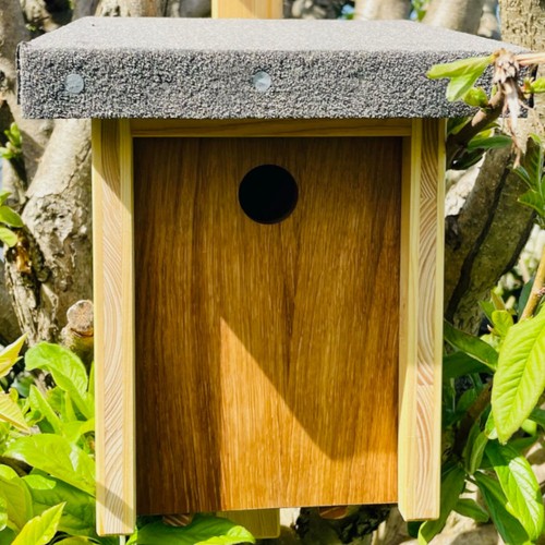 DARLUX Natur Holz Nistkasten für Kohlmeise u. kleine Singvögel Ø 32 mm - Bild 2 von 5