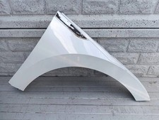 VW ARTEON Kotflügel Vorne Rechts Beifahrerseite Fender Original OE