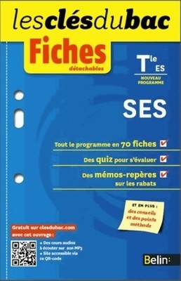 Wirtschafts- und Sozialwissenschaften spec... - Frédérique Giraud - V380417