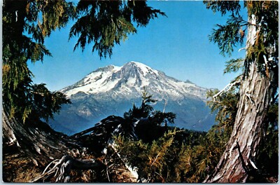 Majestic Mount Rainier of Washington's Cascade Range Postcard