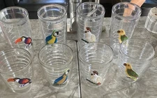 TERVIS set of 8 Clear Tumblers with Parrots Designs. 4-16 oz & 4-8 oz