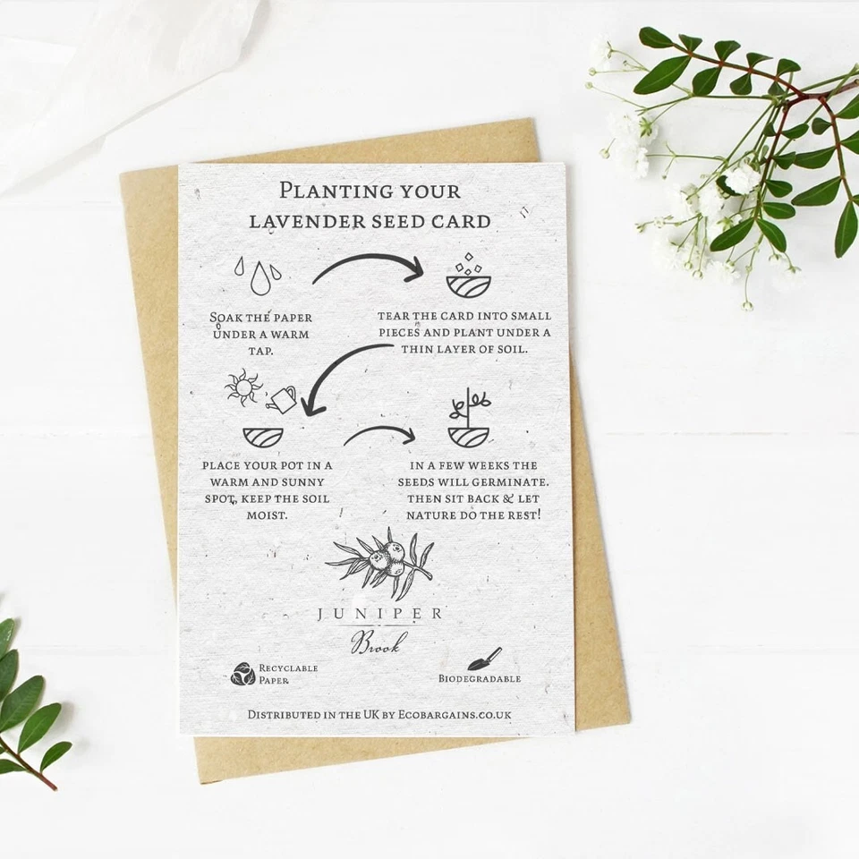 Deepest Sympathy Plantable Seed Card Lavender Seeds Eco Friendly A6 - Image 2 of 4