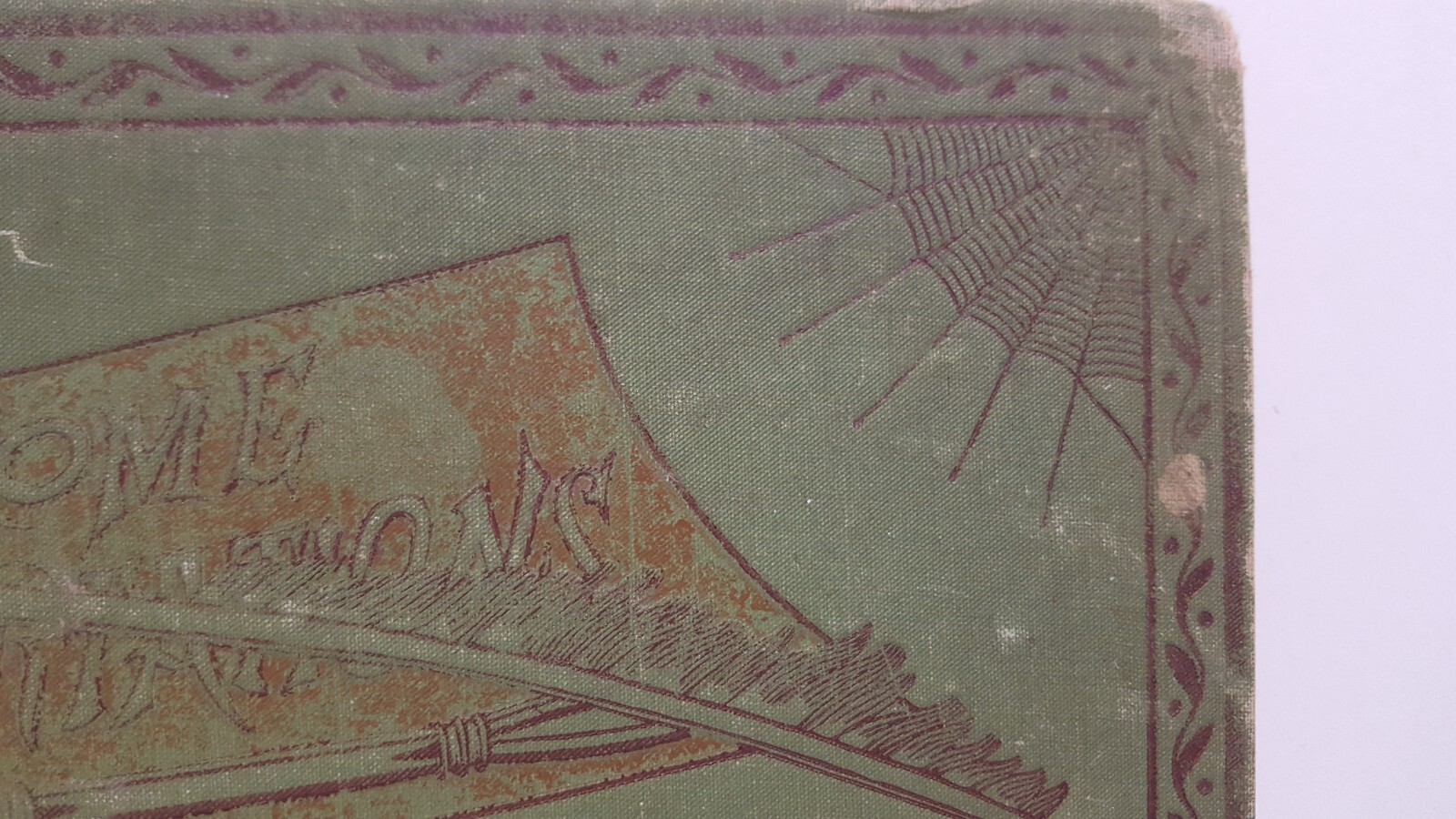 Picture 5 of 24