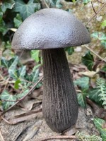 Gusseisen Pilz Zum Stellen Deko Pilz Rost Herbstdeko Gartendeko Herbst Wohndeko
