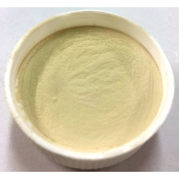 PLASTIFIANT PLOMB POUDRE - BLANC pot de 80grs - 100ml Alciumpeche