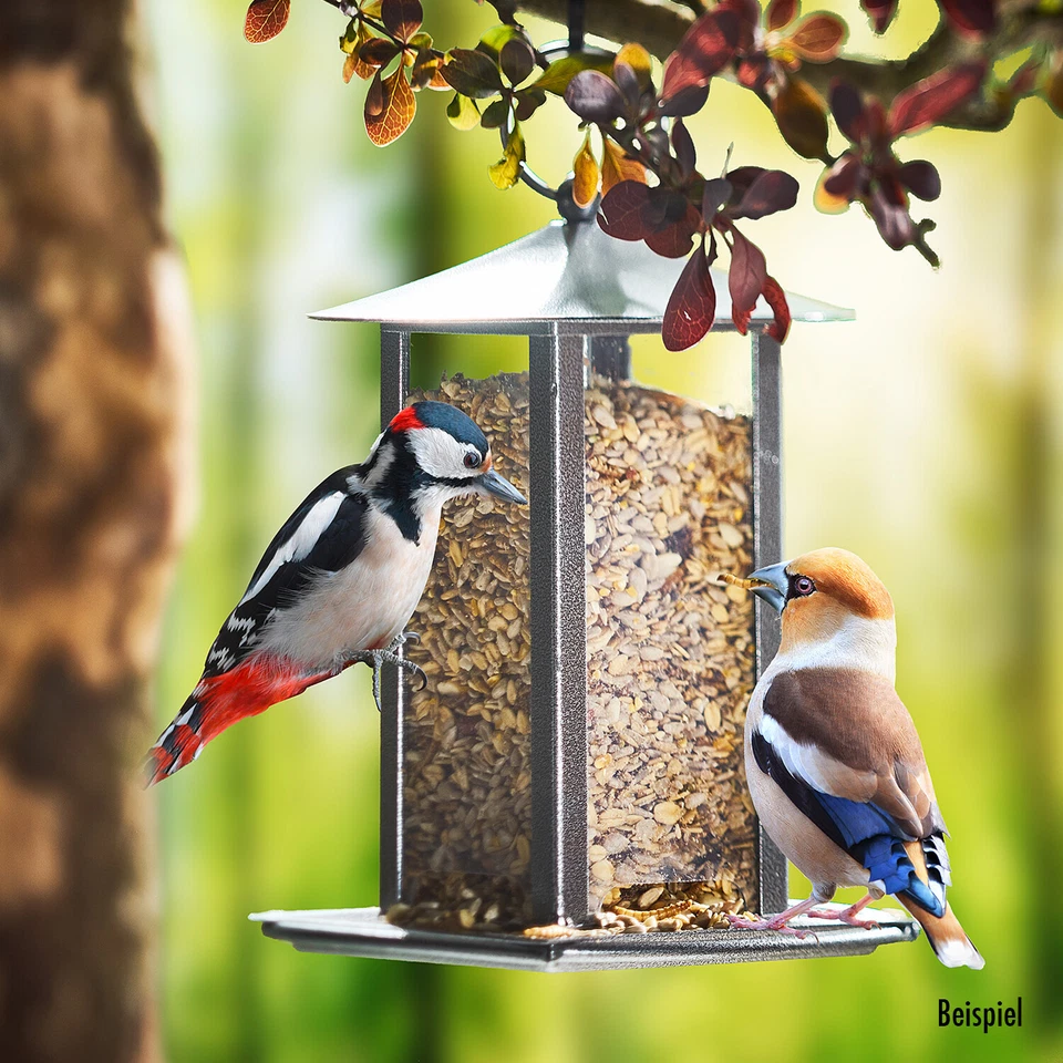 Vogelfutter Wildvogelfutter Deluxe Premiumqualität von Paul's Mühle - Bild 4 von 4