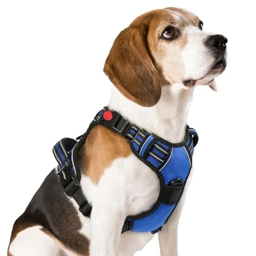 Dog Harness Sized, No Pull Pet Harness with 3 Buckles, Adjustable Medium Blue