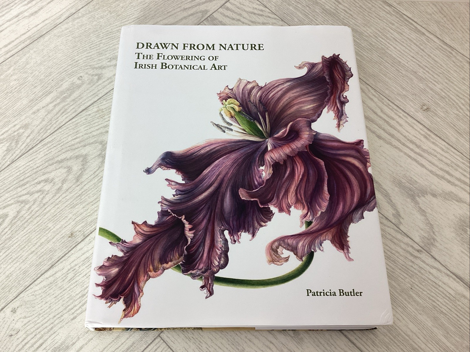 Drawn From Nature: The Flowering of Irish Botanical Art Butler, Patricia, HB *D