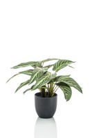 Artplants Kunst Calathea Zebrina Vaida Im Dekotopf, GrüN-Weiß, 40Cm