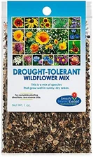 Drought Resistant Wildflower Seeds - 1Oz, Open-Pollinated Bulk Flower Seed Mix f