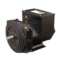 Stromerzeuger Ohne Motor 400V 20Kw 3-Phasig BüRstenlos Synchron Generator Avr