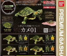 The Diversity of Life on Earth Advance Turtle 01 Figure Bandai Premium Gashapon