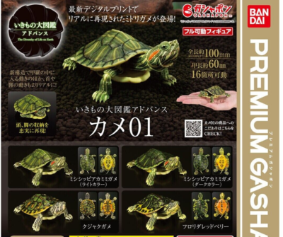 #ad The Diversity of Life on Earth Advance Turtle 01 Figure Bandai Premium Gashapon $34.99