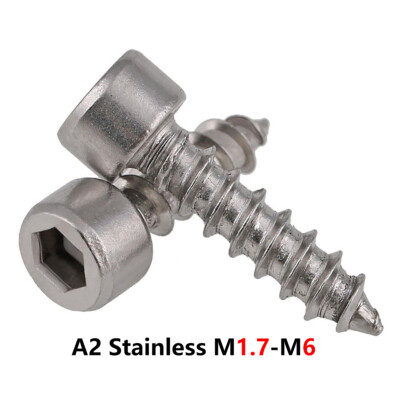 M1.7-M6 Socket Head Cap Self-Tapping Screws A2 Stainless Inner Hexagon Screw