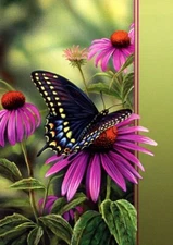 A Moment's Rest  - Tree Free Greeting Card - 11466