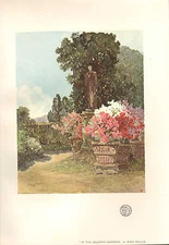 1902 STUDIO PRINT ~ IN THE COLONNA GARDENS by ROSA WALLIS
