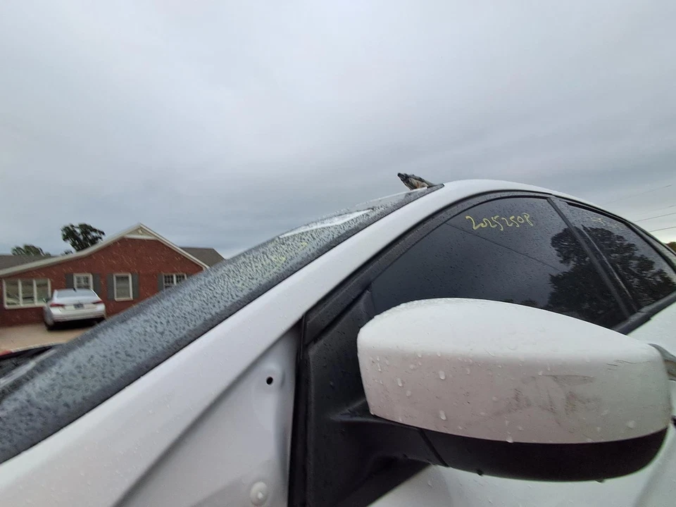 Used Radiator Shutter Assembly fits: 2018 Ford Focus  Grade A Foto 3 de 4