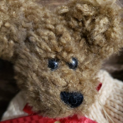 Boyd's Bears Plush #913960 DARBY BEARIBURG, 6" with Untagged Boyd's Bear - Picture 12 of 13