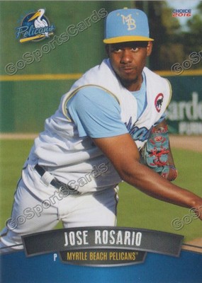 2016 Myrtle Beach Pelicans Jose Rosario Rookie Card Cubs