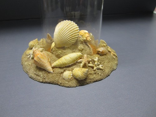 Yankee Candle co Floating Candle Beach Themed Candle Holder Sea Shells Sand - Picture 9 of 13