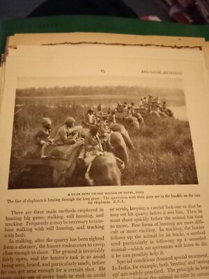 Xm27 Ephemera 1957 Bild Tigerjagd Nepal 