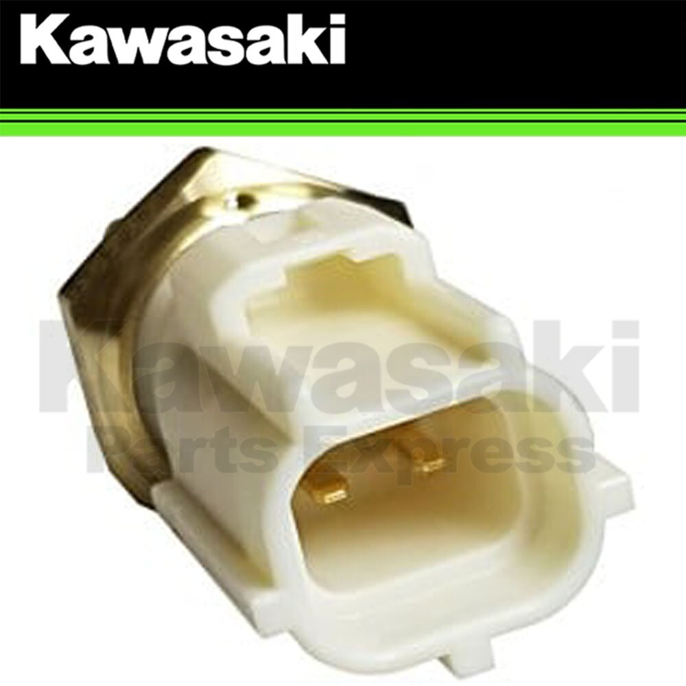 テルミー線　残線1017 g 2012-2019 Nissan Throttle Body 16119-3AN1E | OEM Parts Online