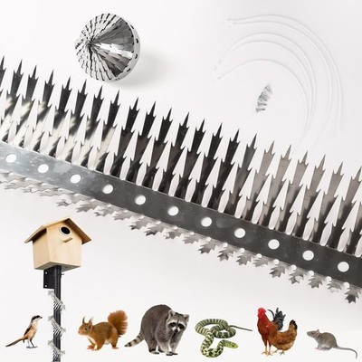 Bird Spikes.Raccoon Snake Deterrent.Squirrel Spikes.Stainless Steel Squirrel ...