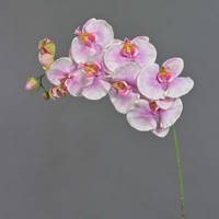 Artplants Kunststoff Phalaenopsis Orchidee Wesa, Rosa-Weiß, 100Cm