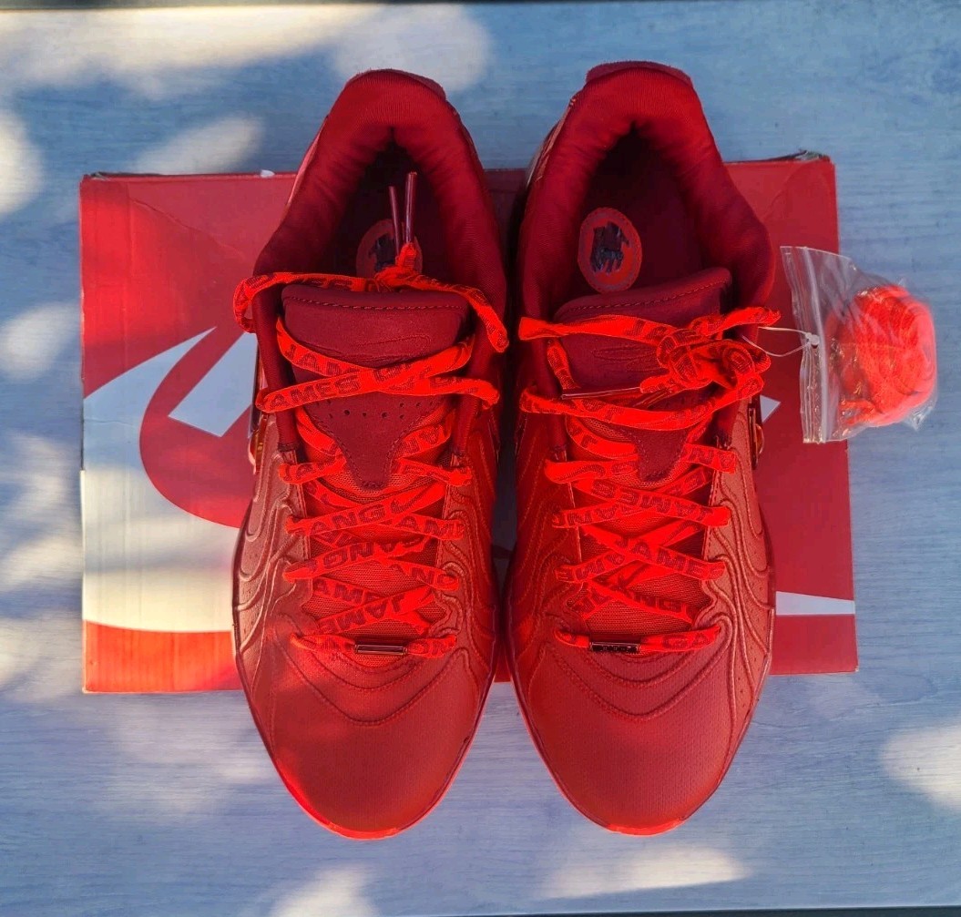 Size 10 - Nike LeBron 21 James Gang Crimson | eBay