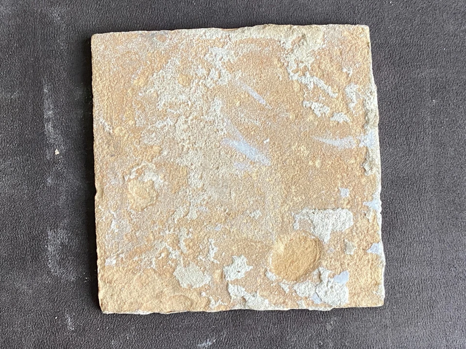 ATQ Delft Azulejo Saltar Conejo Círculo Araña Esquinas Esmalte de Estaño 5" c.1800 Holanda Foto 3 de 3