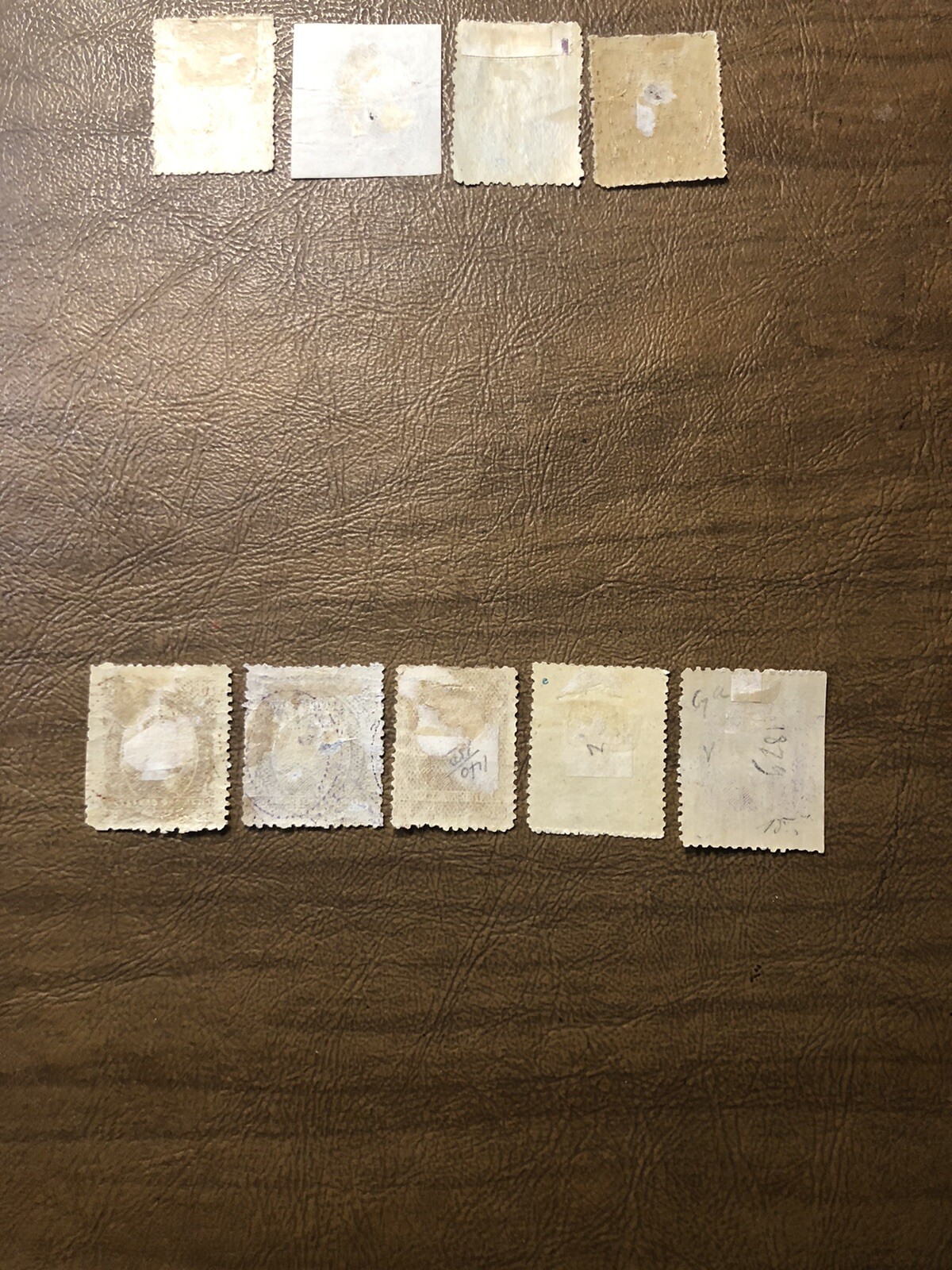 Picture 5 of 5