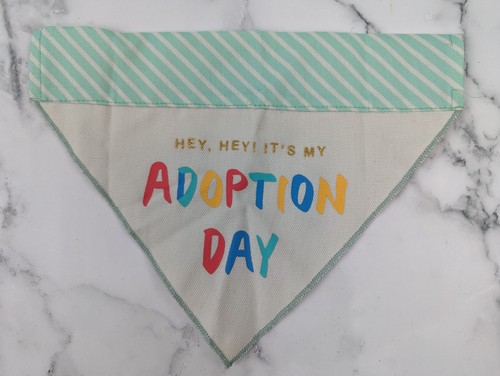 Pet Bandana One Size Birthday/Adoption Day  One Size Boots And Barkley