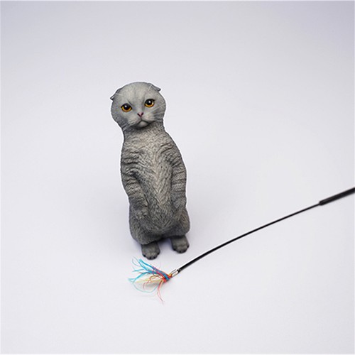 JXK 1/6 Scottish Fold Model Cute Cat 2.0 Animal Collector Decor GK Kids Toy Gift - Picture 10 of 29