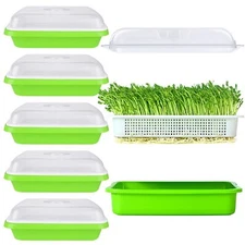 6 Pack Seed Sprouting Tray with Drain Holes BPA Free Nursery Tray Microgreens...
