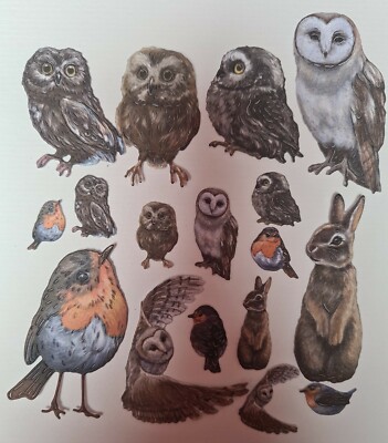 4 Sets Highlight Crafts zwei rote Rotkehlchen ''A Little Gathering'' Stanzteile