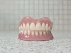 Brand New Denture/False Teeth,Upper&Lower set,Novelty,Display,Props,Teaching aid