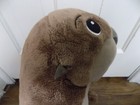 Foto 9 di 10