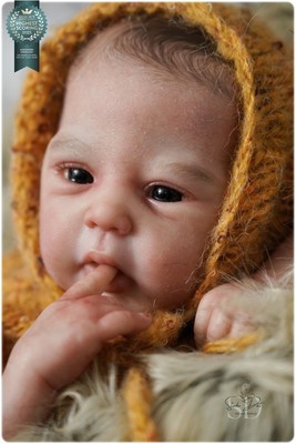 Studio-Puppe Baby JUNGE Reborn Mindy von Adrie Stoete 17 Zoll
