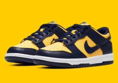 Nike Dunk Low Michigan (GS) CW1590-700 | eBay