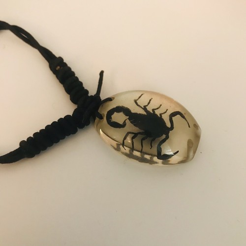 Lucite BLACK SCORPION Black Corded Adjustable Bracelet J6365 - Picture 6 of 7