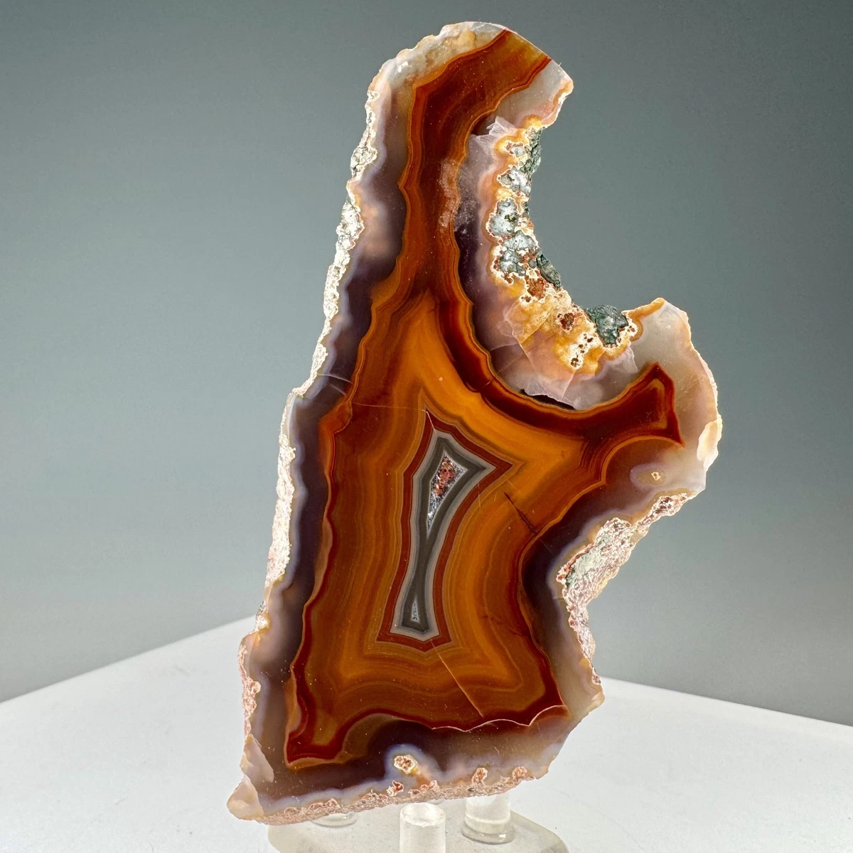 Condor Agate for sale | eBay
