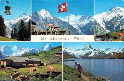 Grindelwald BE first panoramic chairlift sun terrace cattle pasture lake area